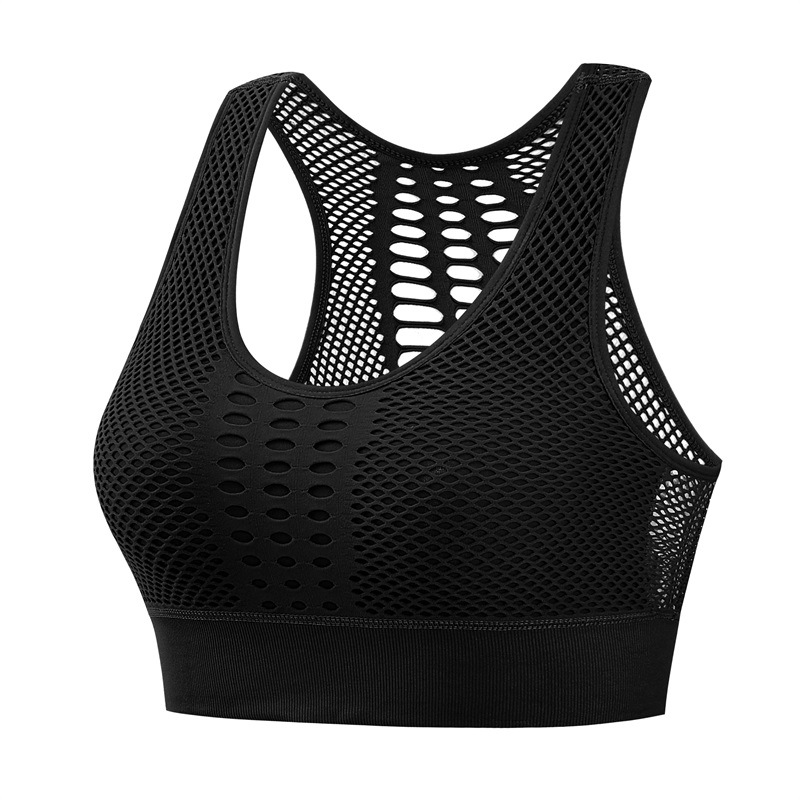 XL